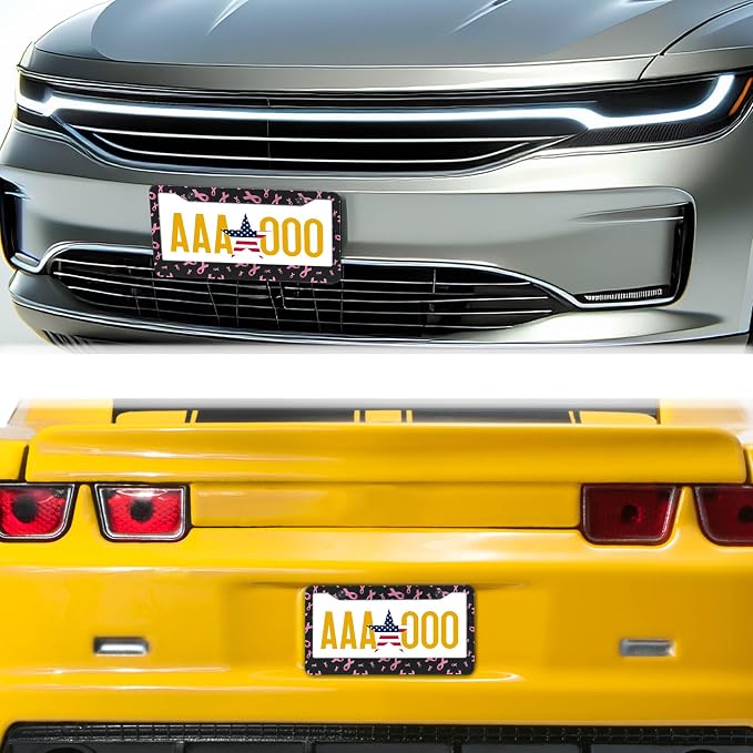 License Plate Frames for Men Black Powder Car License Plate Frame for Women - Image 8