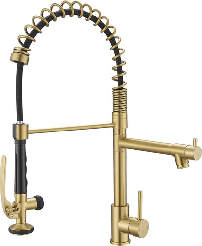 Brushed Gold Kitchen Faucet by Fapully