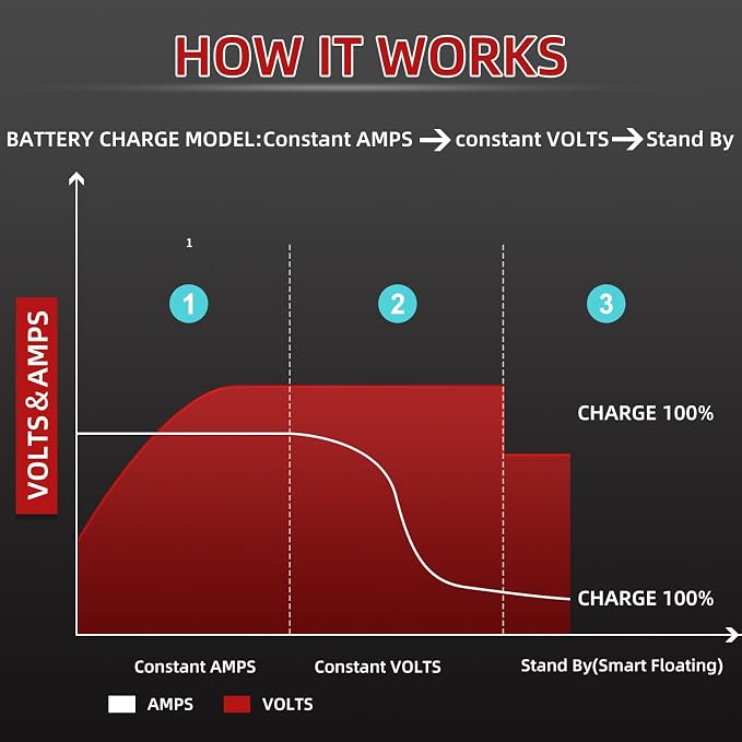 48V 10AMP Golf Cart Battery Charger - Image 3