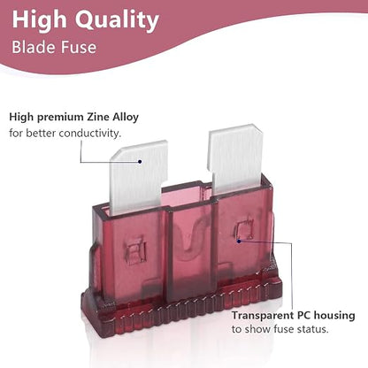 40 Amp Standard Fuse, 40A Car Blade Fuses - Image 3