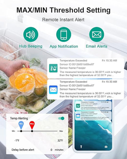 WiFi Thermometer Freezer Alarm, Email Alert, App Notification, Data Record - Image 2
