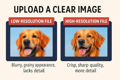 Custom Car Magnets with Rounded Corners Personalize Your Message Full Color - Image 2