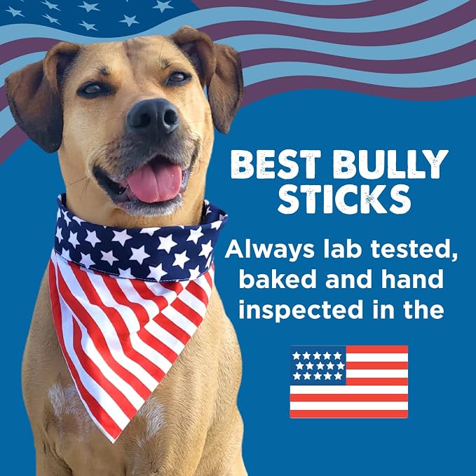 Best Bully Sticks 12 Inch Bully Sticks - Image 8