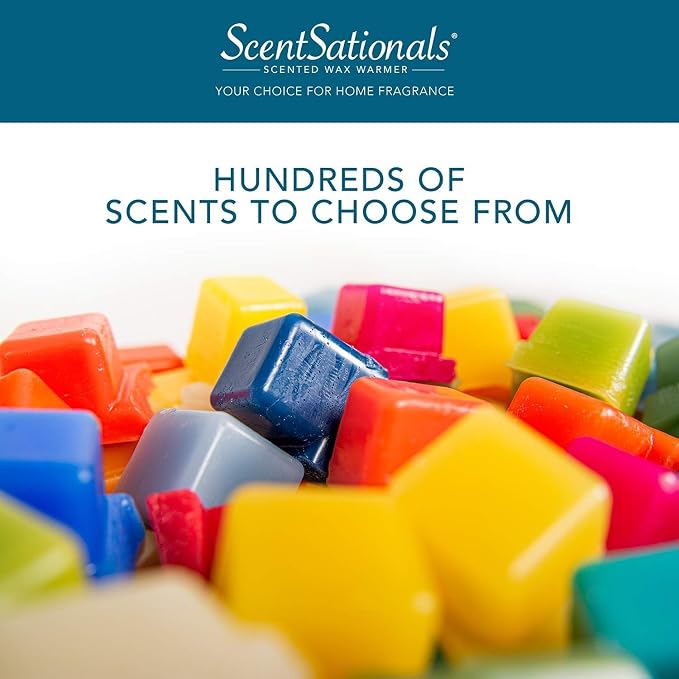 Scentsationals 왁스 멜트, 왁스 큐브 강한 향 - Image 4