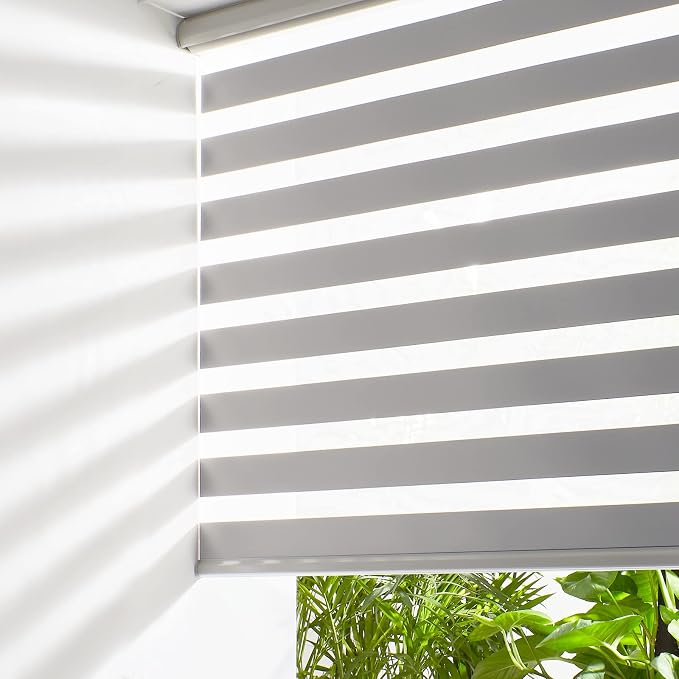 Persilux Cordless Zebra Blinds for Windows Free-Stop Roller Windows Shades Dual by PersiluxHome