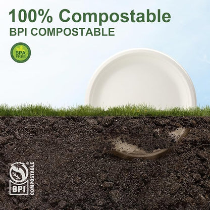 WELLIFE 10 Inch Paper Plates, Biodegradable Bagasse, Eco-Friendly, PFAS-Free | - Image 5