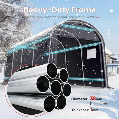 KING BIRD 10' x 20' Heavy Duty Carport - Image 2