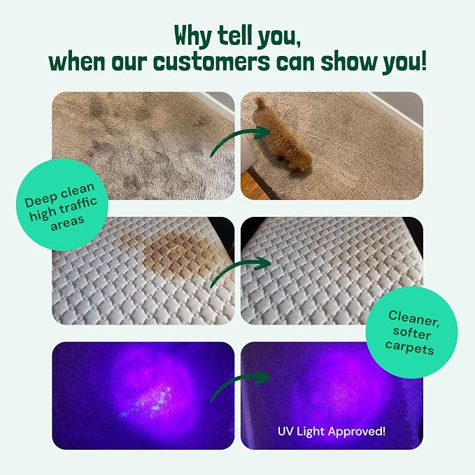 Sunny & Honey Carpet Cleaner Solution - Image 2