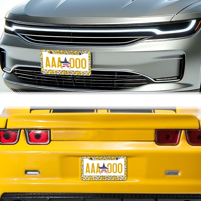 License Plate Cover Frame for Women Multicolor License Plate Frames for Men - Image 8