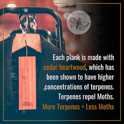 Dr. Killigan’s Moth Traps & Cedar Planks - Image 5