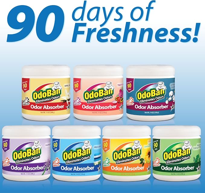 OdoBan Solid Odor Absorber Eliminator - Image 7