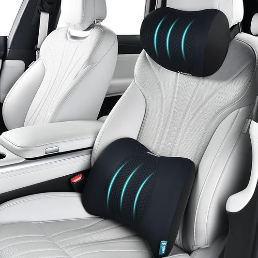 FLORICH Lumbar Support with Car headrest Back Pillow by FLORICH