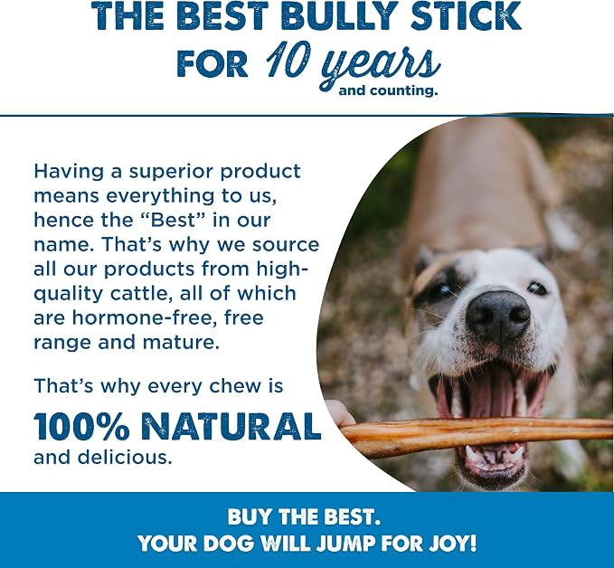 Best Bully Sticks 12 Inch Bully Sticks - Image 6
