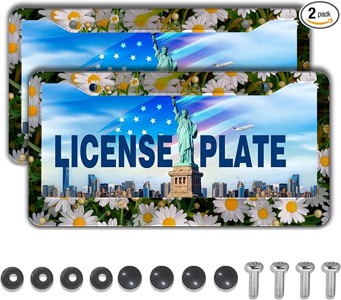 Fun License Plate Frame Cover Multicolor License Plate Frames Daisy Flower by Unknown