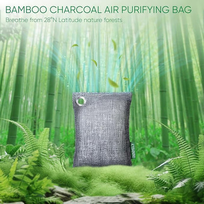 Activated Charcoal Odor Absorber, Odor Eliminator - Image 2